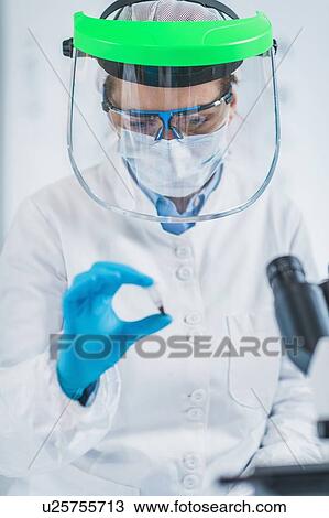 Ancient DNA scientist working in bio archaeology lab View Large Photo Image Stock Image - Ancient DNA scientist working in bio archaeology lab. Fotosearch