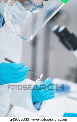 Ancient DNA scientist working in bio archaeology lab View Large Photo Image Stock Image - Ancient DNA scientist working in bio archaeology lab. Fotosearch