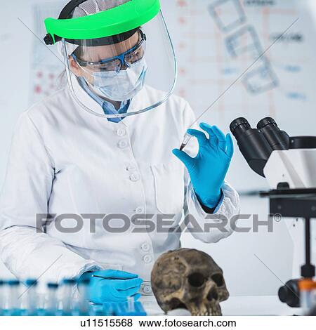 Stock Photo - Ancient DNA scientist working in bio archaeology lab. Fotosearch