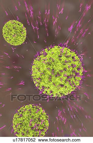 Antibodies attacking virus particles, illustration View Large Photo Image Stock Image - Antibodies attacking virus particles, illustration. Fotosearch