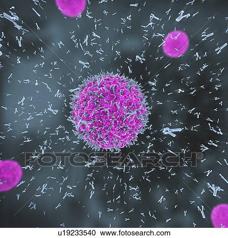 Stock Image - Antibodies attacking virus particles, illustration. Fotosearch