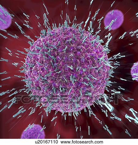 Stock Image - Antibodies attacking virus particles, illustration. Fotosearch