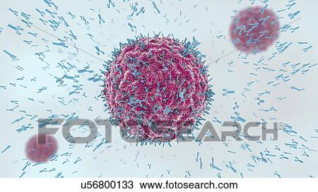 Stock Image - Antibodies attacking virus particles, illustration. Fotosearch