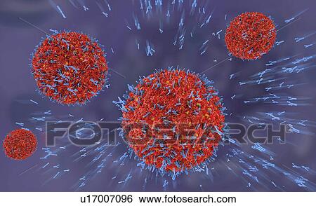 Antibodies attacking virus particles, illustration View Large Photo Image Stock Photograph - Antibodies attacking virus particles, illustration. Fotosearch