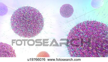 Antibodies attacking virus particles, illustration View Large Photo Image Stock Photograph - Antibodies attacking virus particles, illustration. Fotosearch
