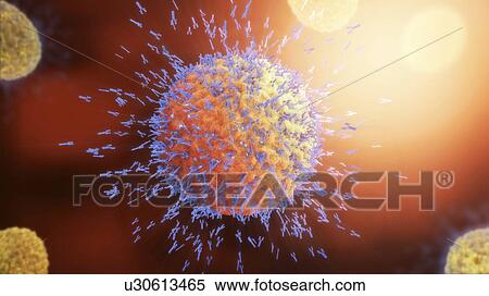 Stock Photography - Antibodies attacking virus particles, illustration. Fotosearch