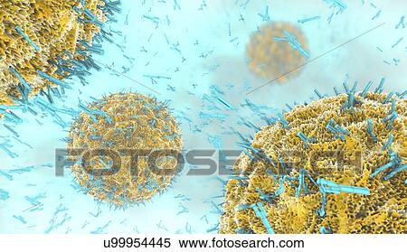 Antibodies attacking virus particles, illustration View Large Photo Image Stock Photography - Antibodies attacking virus particles, illustration. Fotosearch