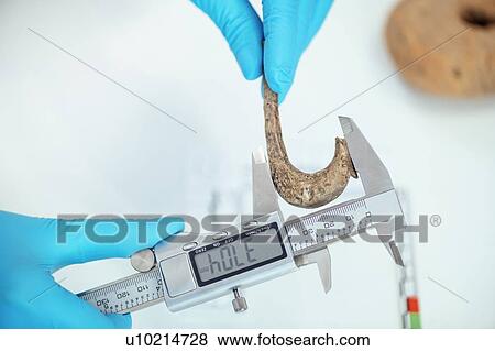 Archaeologist measuring ancient hook with digital calliper View Large Photo Image Stock Photo - Archaeologist measuring ancient hook with digital calliper. Fotosearch