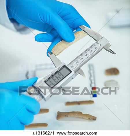 Stock Image - Archaeologist measuring lithics with calliper in laboratory. Fotosearch