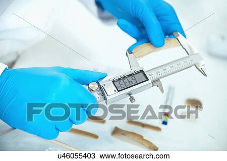 Stock Image - Archaeologist measuring lithics with calliper in laboratory. Fotosearch