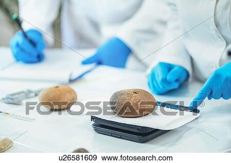 Stock Photo - Archaeologist measuring prehistoric weight on a scale. Fotosearch