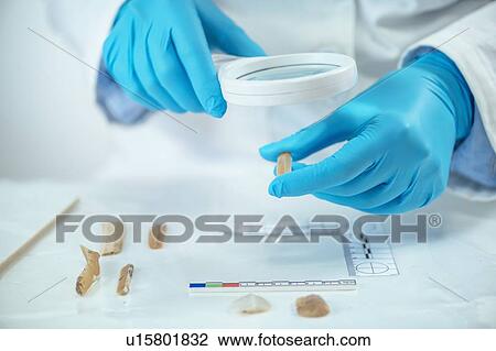 Archaeologist performing lithic analysis View Large Photo Image Stock Image - Archaeologist performing lithic analysis. Fotosearch