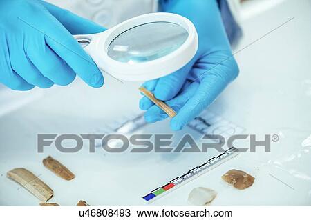 Stock Image - Archaeologist performing lithic analysis. Fotosearch