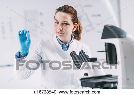 Stock Image - Archaeologist with ancient tooth root microscope slide. Fotosearch