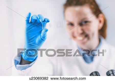 Stock Image - Archaeologist with ancient tooth root microscope slide. Fotosearch