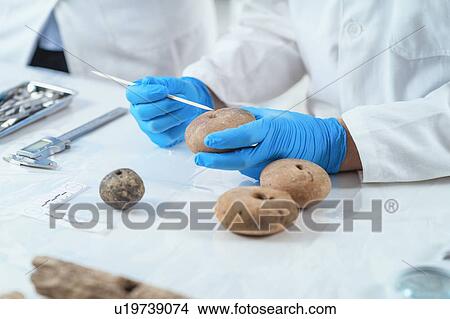 Archaeologists analyzing ancient weight in laboratory View Large Photo Image Picture - Archaeologists analyzing ancient weight in laboratory. Fotosearch