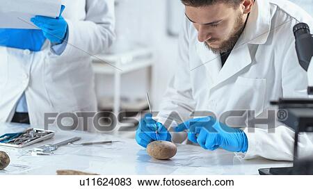 Archaeologists analyzing ancient weight in laboratory View Large Photo Image Stock Image - Archaeologists analyzing ancient weight in laboratory. Fotosearch