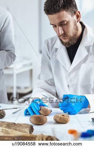 Stock Photo - Archaeologists analyzing ancient weight in laboratory. Fotosearch