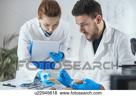 Stock Photo - Archaeologists analyzing ancient weight in laboratory. Fotosearch