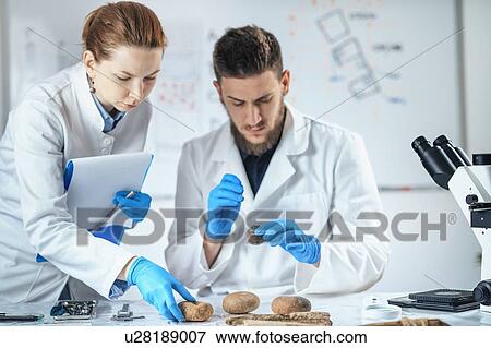 Stock Photo - Archaeologists analyzing ancient weight in laboratory. Fotosearch