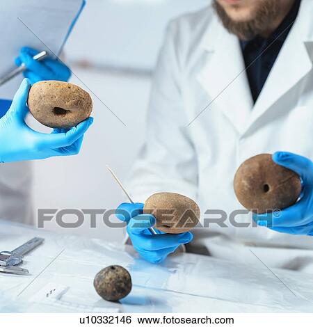 Archaeologists analyzing ancient weight in laboratory View Large Photo Image Stock Photograph - Archaeologists analyzing ancient weight in laboratory. Fotosearch