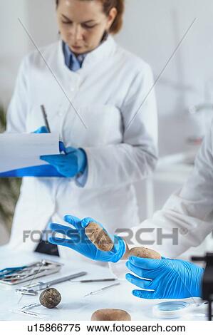 Stock Photography - Archaeologists analyzing ancient weight in laboratory. Fotosearch