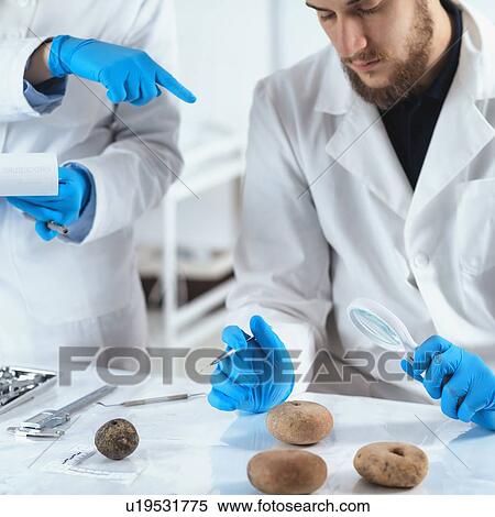 Stock Photography - Archaeologists analyzing ancient weight in laboratory. Fotosearch