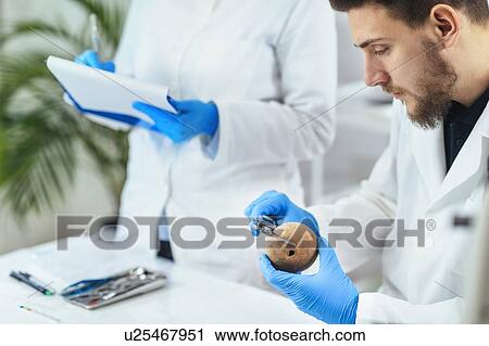 Stock Image - Archaeologists measuring prehistoric artefact with calliper. Fotosearch