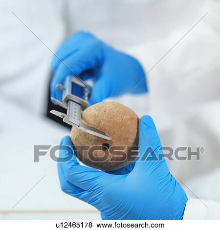 Stock Photo - Archaeologists measuring prehistoric artefact with calliper. Fotosearch