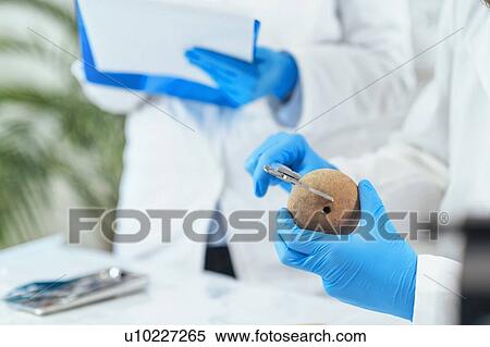 Stock Photography - Archaeologists measuring prehistoric artefact with calliper. Fotosearch