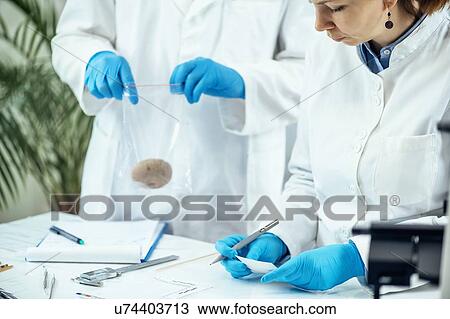 Archaeologists working in laboratory View Large Photo Image Stock Image - Archaeologists working in laboratory. Fotosearch