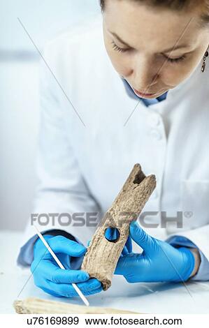 Stock Photo - Archaeology researcher analyzing prehistoric axe. Fotosearch