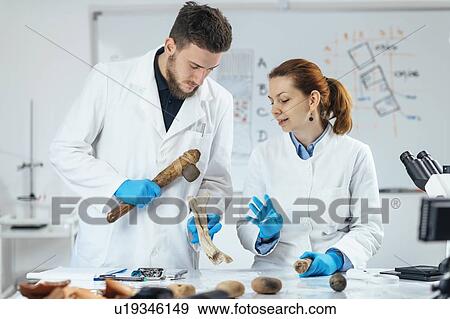 Archaeology researcher reconstructing ancient tool View Large Photo Image Stock Photo - Archaeology researcher reconstructing ancient tool. Fotosearch