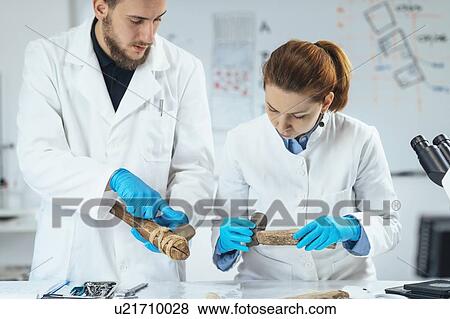 Stock Photo - Archaeology researcher reconstructing ancient tool. Fotosearch