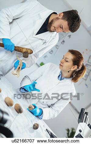 Stock Photo - Archaeology researcher reconstructing ancient tool. Fotosearch