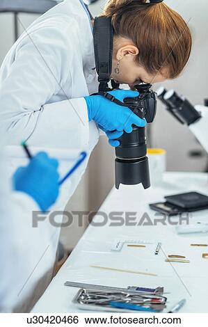 Stock Photograph - Archaeology researchers documenting artefacts. Fotosearch