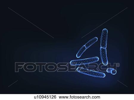 Stock Photograph - Bacilli bacteria, illustration. Fotosearch