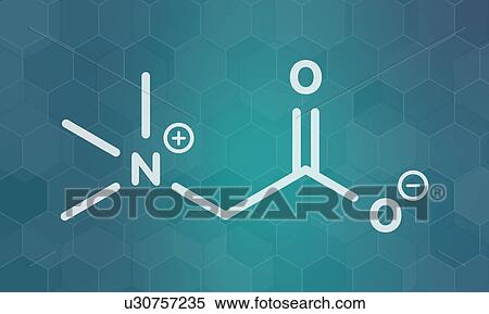 Betaine molecule, illustration View Large Photo Image Stock Photography - Betaine molecule, illustration. Fotosearch