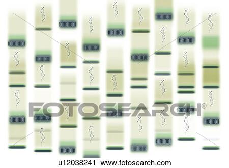 Stock Image - Bioinformatics, conceptual illustration. Fotosearch