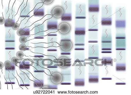 Bioinformatics, conceptual illustration View Large Photo Image Stock Image - Bioinformatics, conceptual illustration. Fotosearch