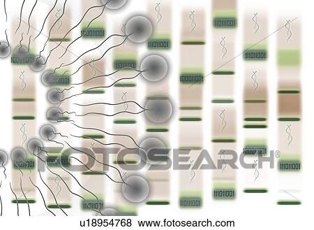 Stock Photo - Bioinformatics, conceptual illustration. Fotosearch