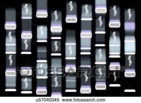 Stock Photography - Bioinformatics, conceptual illustration. Fotosearch
