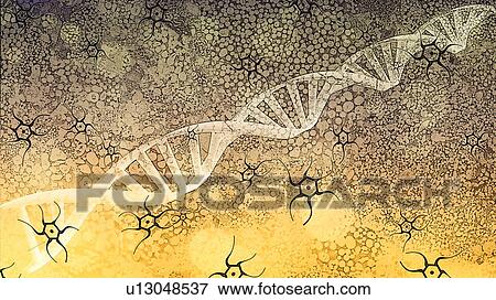 Biological research, conceptual illustration View Large Photo Image Stock Photo - Biological research, conceptual illustration. Fotosearch