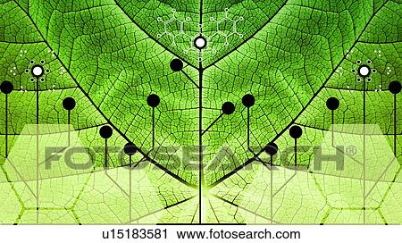 Stock Image - Biomimicry, conceptual illustration. Fotosearch