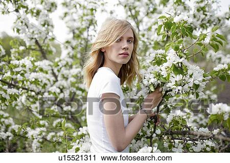 Stock Image - Blond haired young woman among white blossoms. Fotosearch