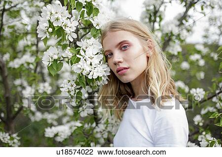 Blond haired young woman among white blossoms View Large Photo Image Stock Image - Blond haired young woman among white blossoms. Fotosearch
