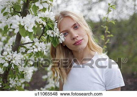 Stock Photo - Blond haired young woman among white blossoms. Fotosearch