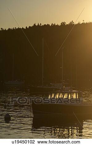 Boat at sunset in Seal Harbor, Mount Desert Island, USA View Large Photo Image Stock Image - Boat at sunset in Seal Harbor, Mount Desert Island, USA. Fotosearch