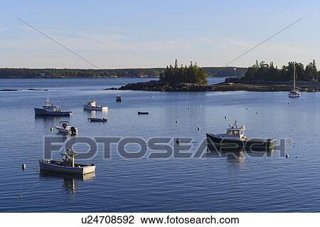 Boats in Seal Harbor, Mount Desert Island, USA View Large Photo Image Stock Image - Boats in Seal Harbor, Mount Desert Island, USA. Fotosearch