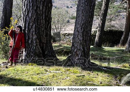 Stock Image - Boy exploring national park, Llanaber, Gwynedd, United Kingdom. Fotosearch